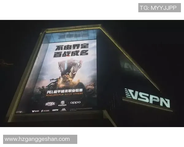 电竞比分与和平精英深度解析LNG战队的游戏意识与策略运用 电竞比分与和平精英深度解析LNG战队的游戏意识与策略运用